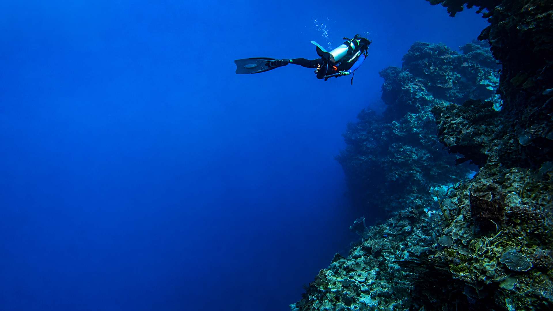 A diver drifting beside a steep Palancar reef wall