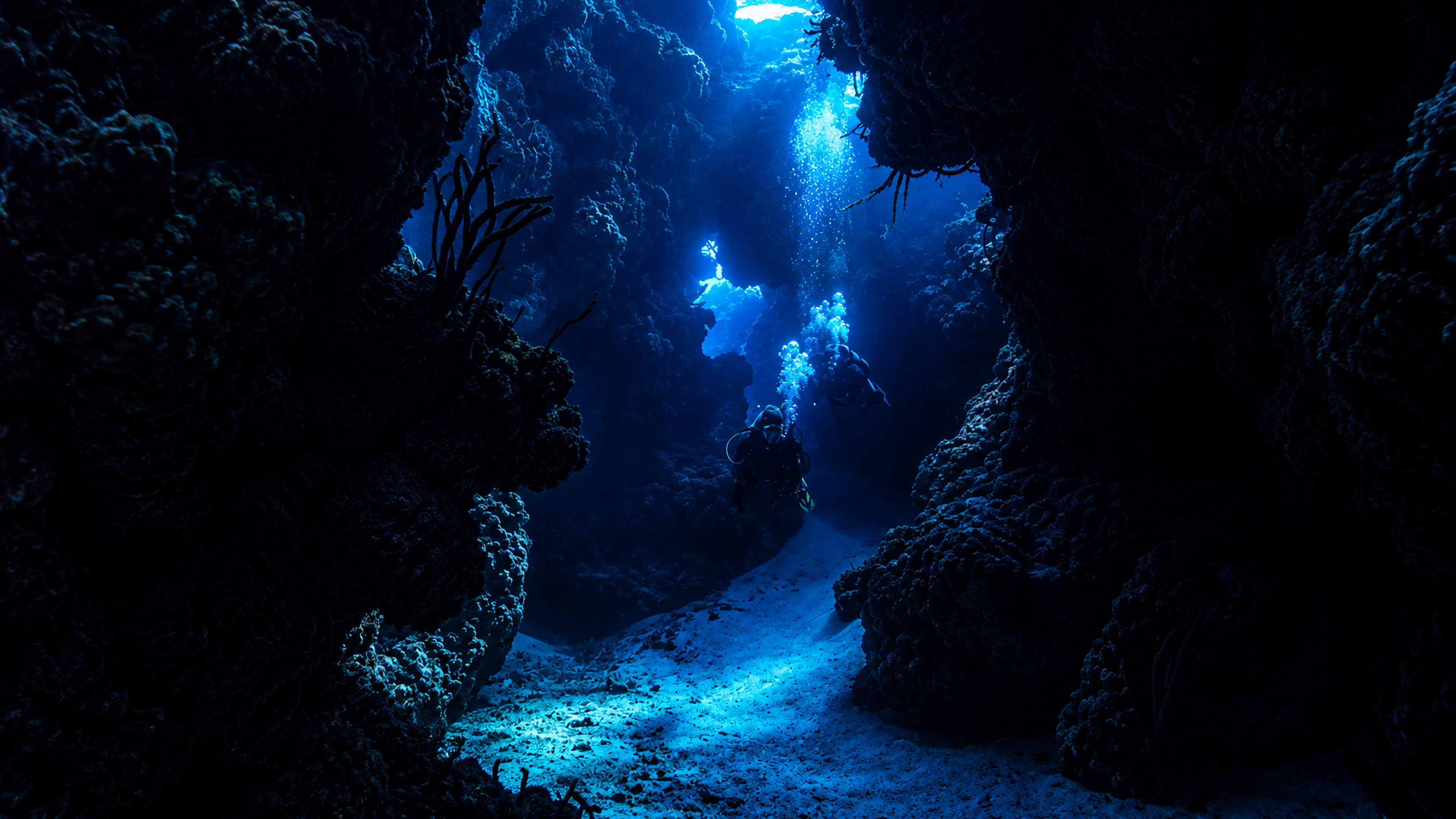 Divers swimming through a deep blue Palancar canyon
